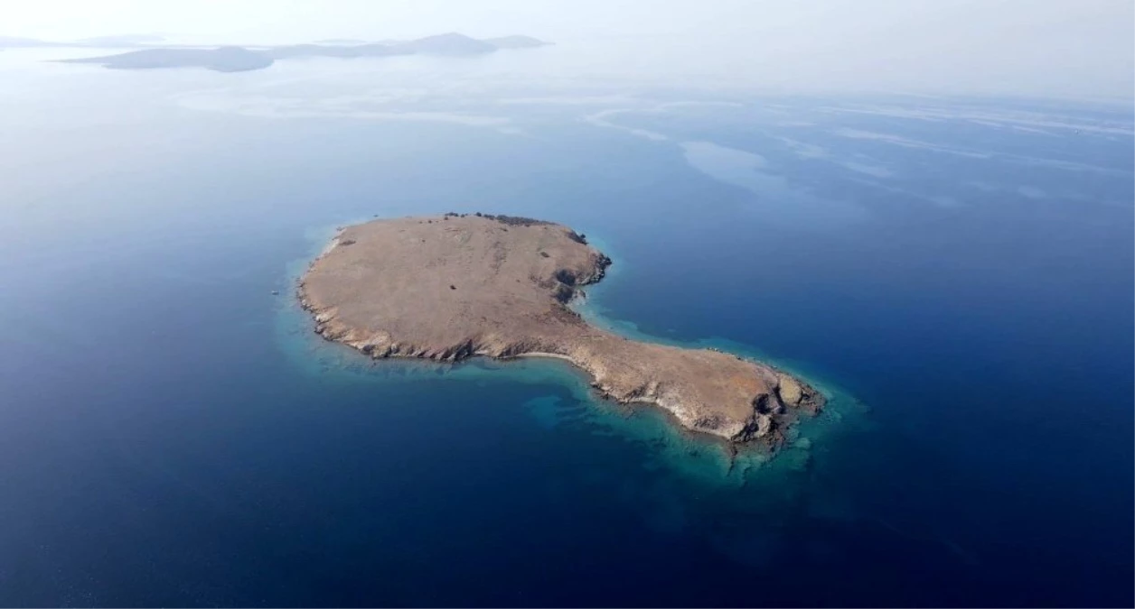 Son dakika haberi | Ayvalık\'ta Kız Adası\'nın korunması sevinci