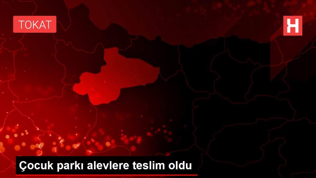 Çocuk parkı alevlere teslim oldu