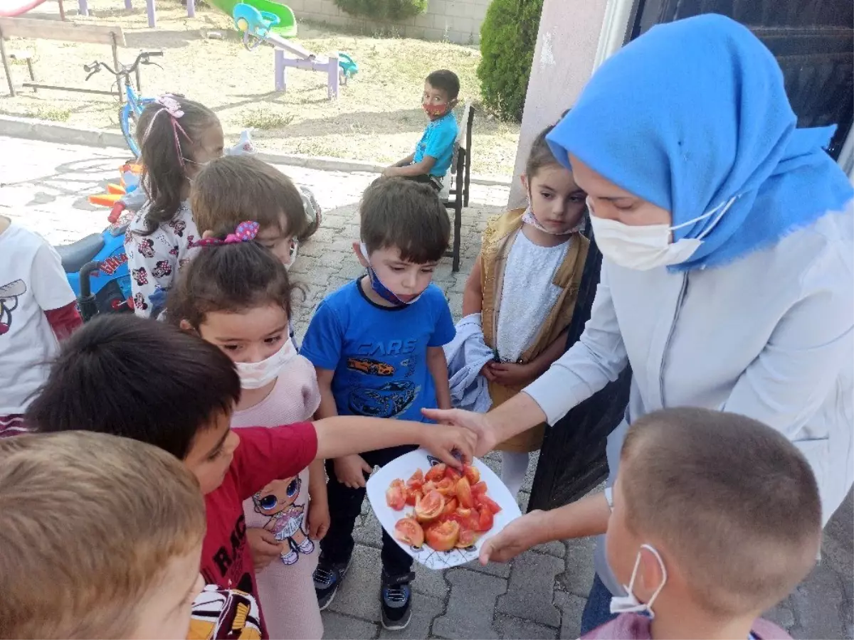 Doğal yaşamı anaokulunda öğreniyorlar