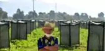 Görenlerin füze rampası ya da tuvalete benzettiği avokado bahçesi