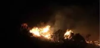 Son Dakika | Hatay'da orman yangını