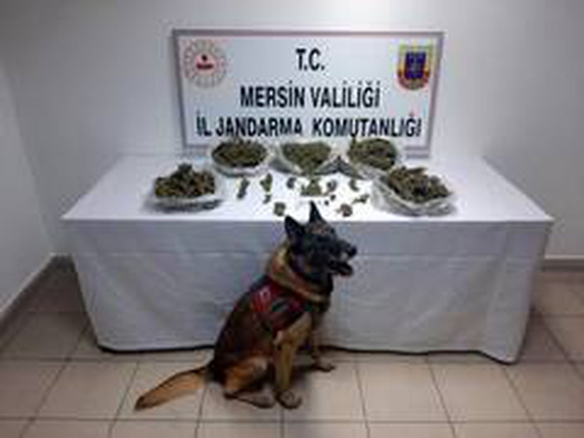Mersin\'de uyuşturucu operasyonu