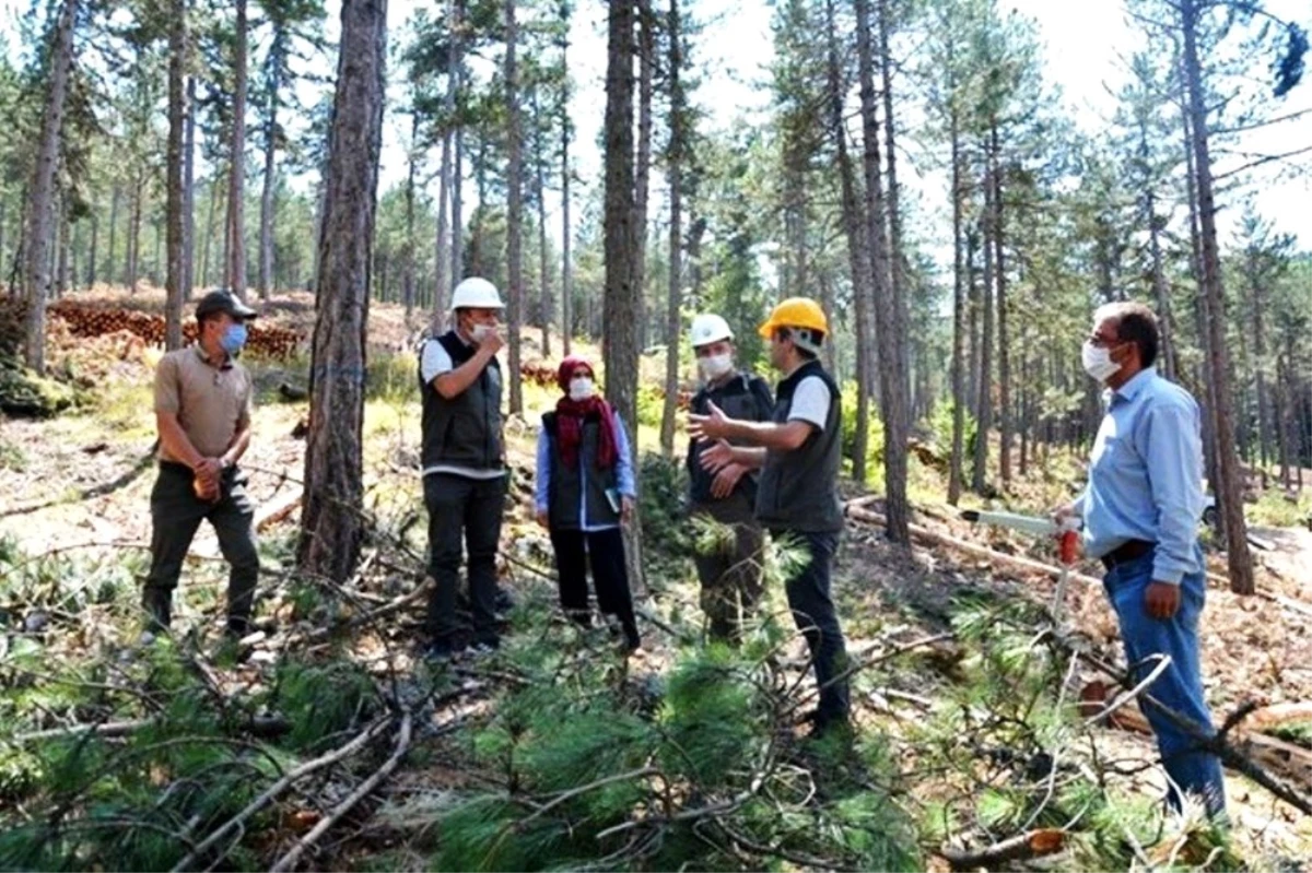 Müdür Keskin: "Tüm ormancılık faaliyetlerinde kurallara dikkat edilmeli"