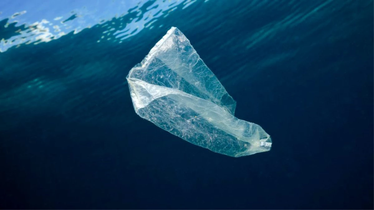Okyanusların dibinde \'14 milyon tondan fazla mikroplastik olabilir\'