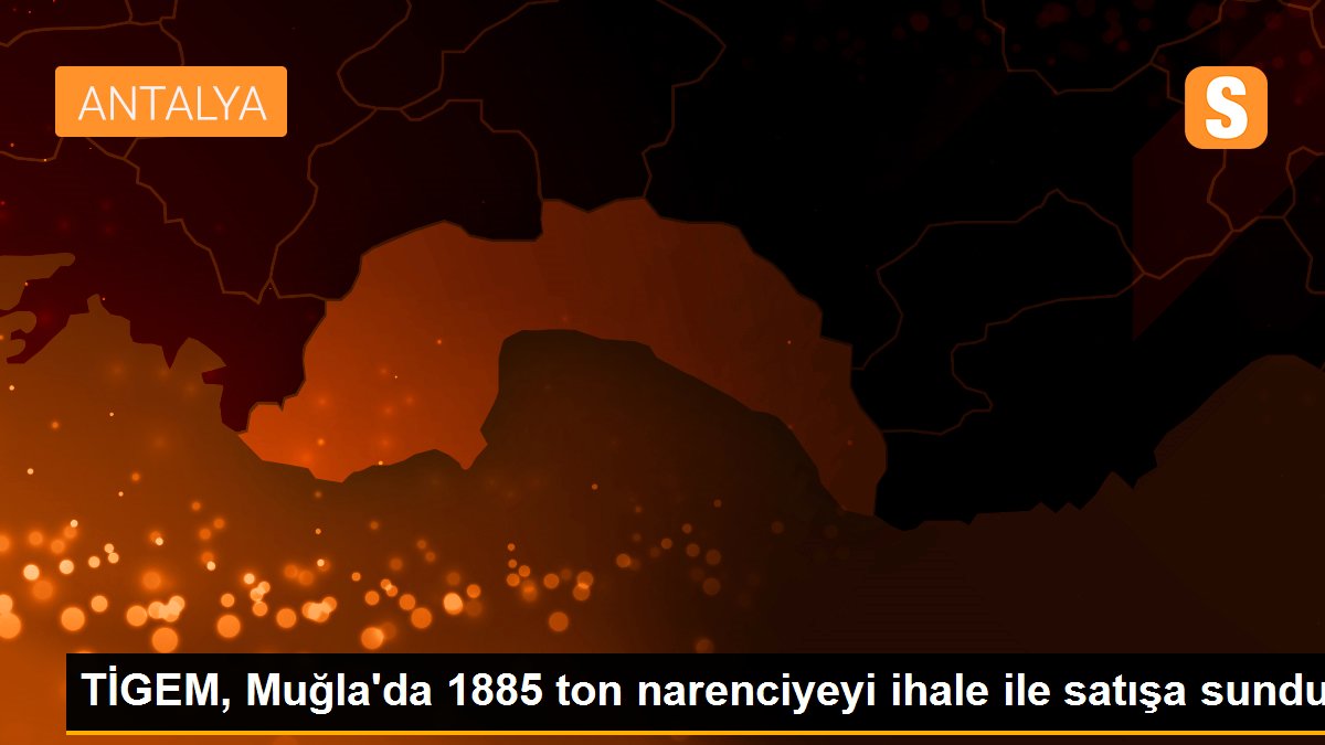 TİGEM, Muğla\'da 1885 ton narenciyeyi ihale ile satışa sundu