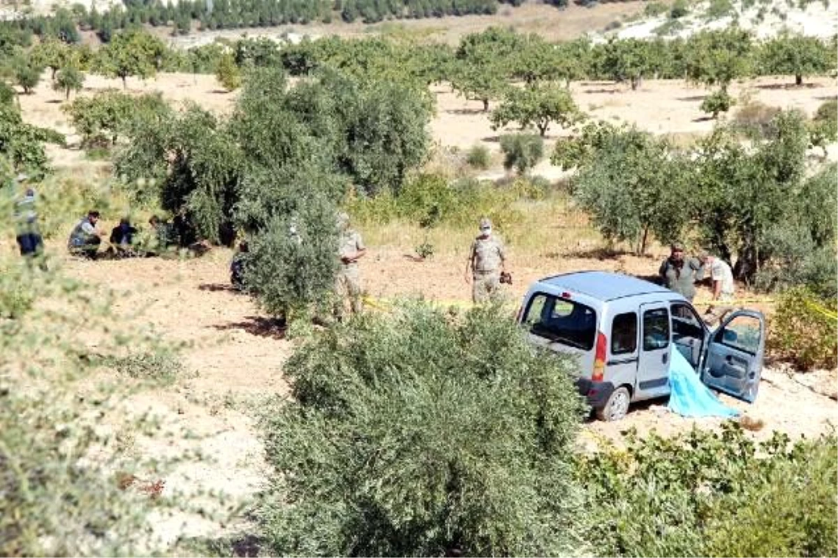 Son dakika haberleri: Zeytin bahçesine uçan aracın sürücüsü öldü