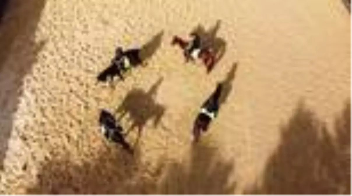 Son dakika haber! Atlı polisler göreve hazır - BURSA