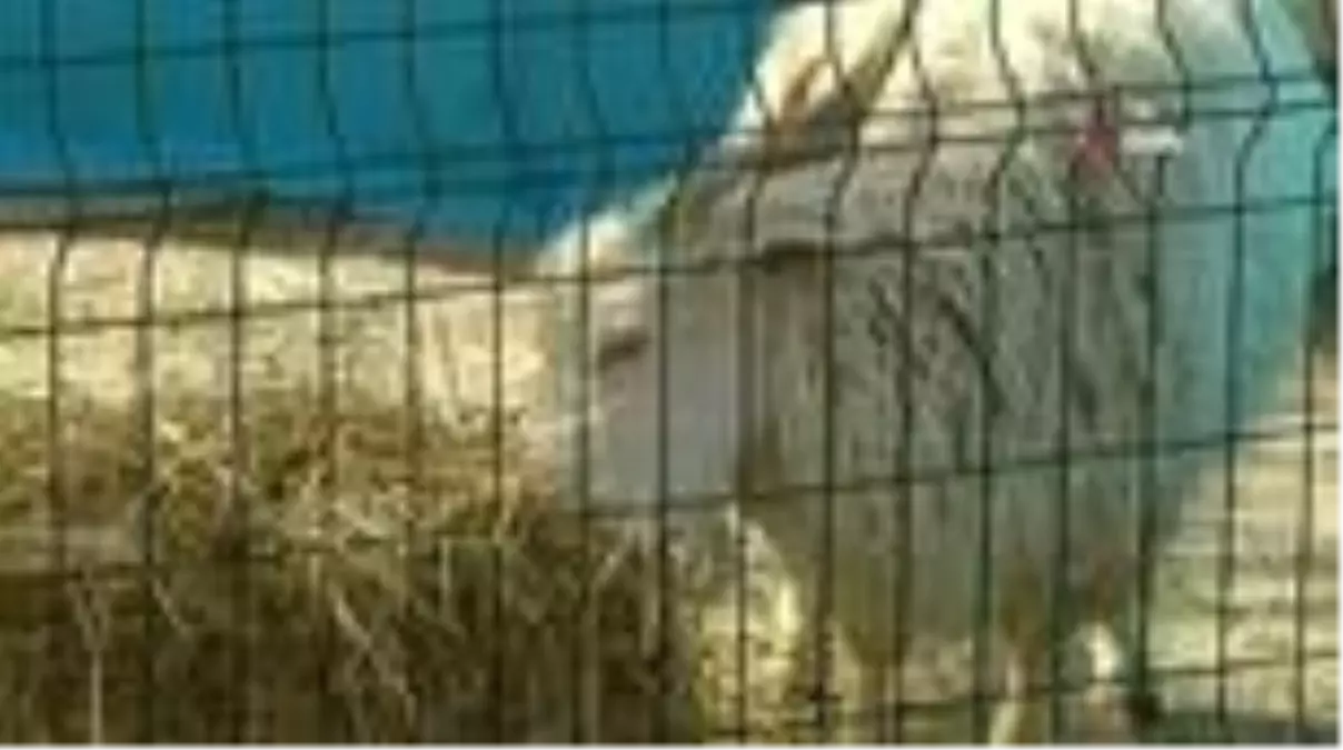 Bakan Pakdemirli\'den destek müjdesi