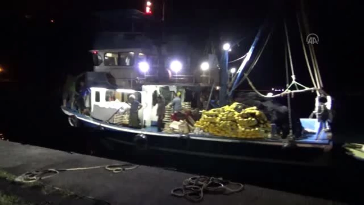 Balıkçıların yüzü palamutla güldü
