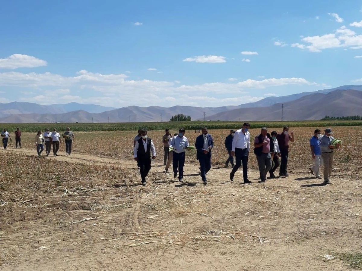 Başkan Şamiloğlu: "Çiftçiye çok acil yem desteği verilmeli"
