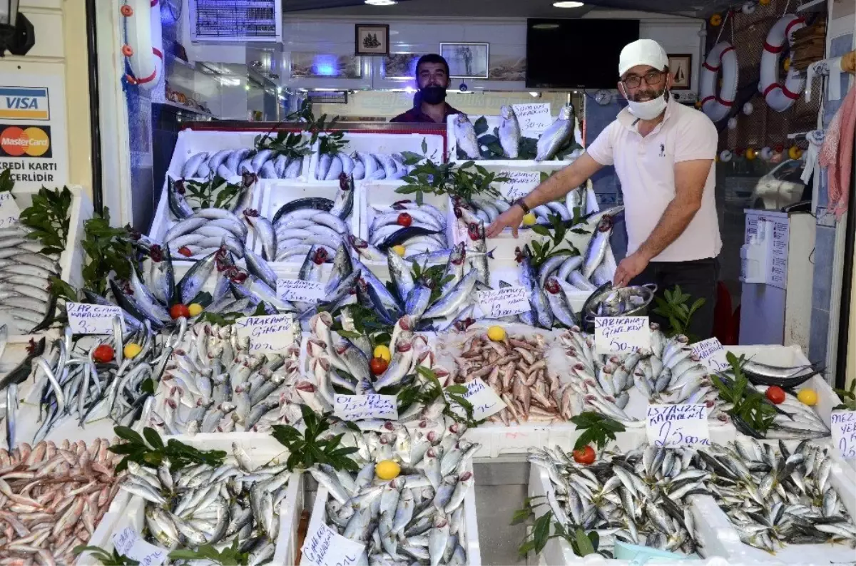 Denizlerdeki bolluk, balıkçı tezgahlarını şenlendiriyor