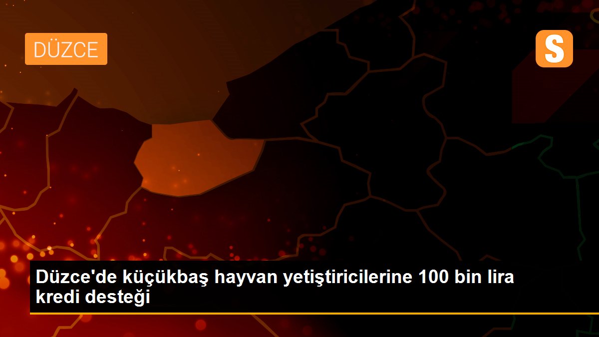 Düzce\'de küçükbaş hayvan yetiştiricilerine 100 bin lira kredi desteği