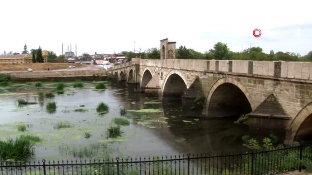 Edirne\'de Tunca Nehri yeşile büründü