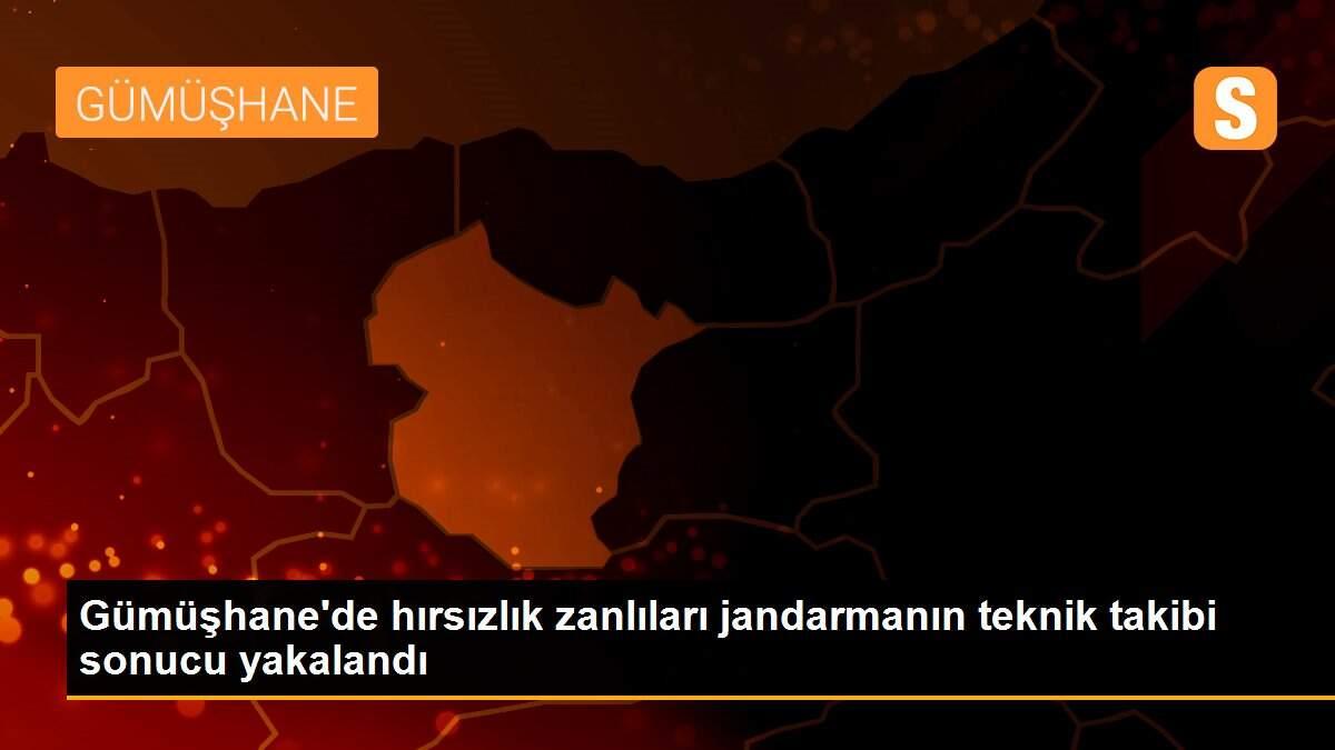 Son dakika haber... Gümüşhane\'de hırsızlık zanlıları jandarmanın teknik takibi sonucu yakalandı