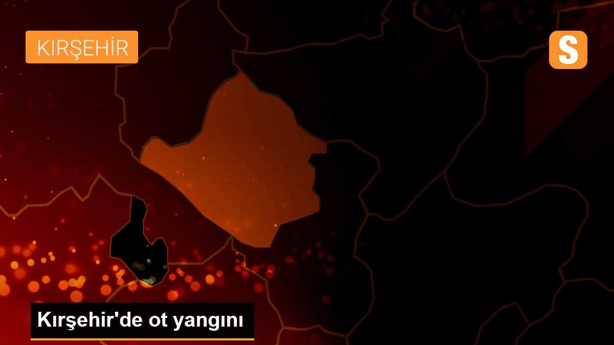 Kırşehir\'de ot yangını