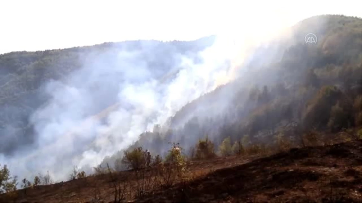 Kastamonu\'da çıkan orman yangınına müdahale ediliyor