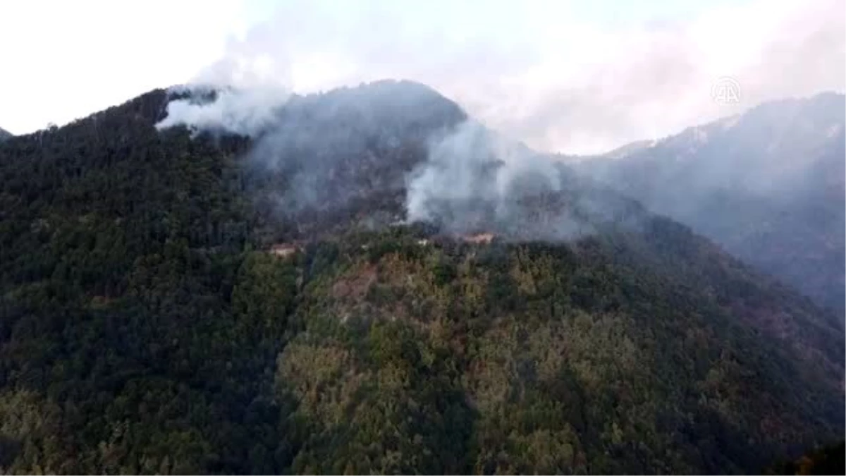 Son dakika haberi | Ormanlık alanda yeniden yangın çıktı (2)