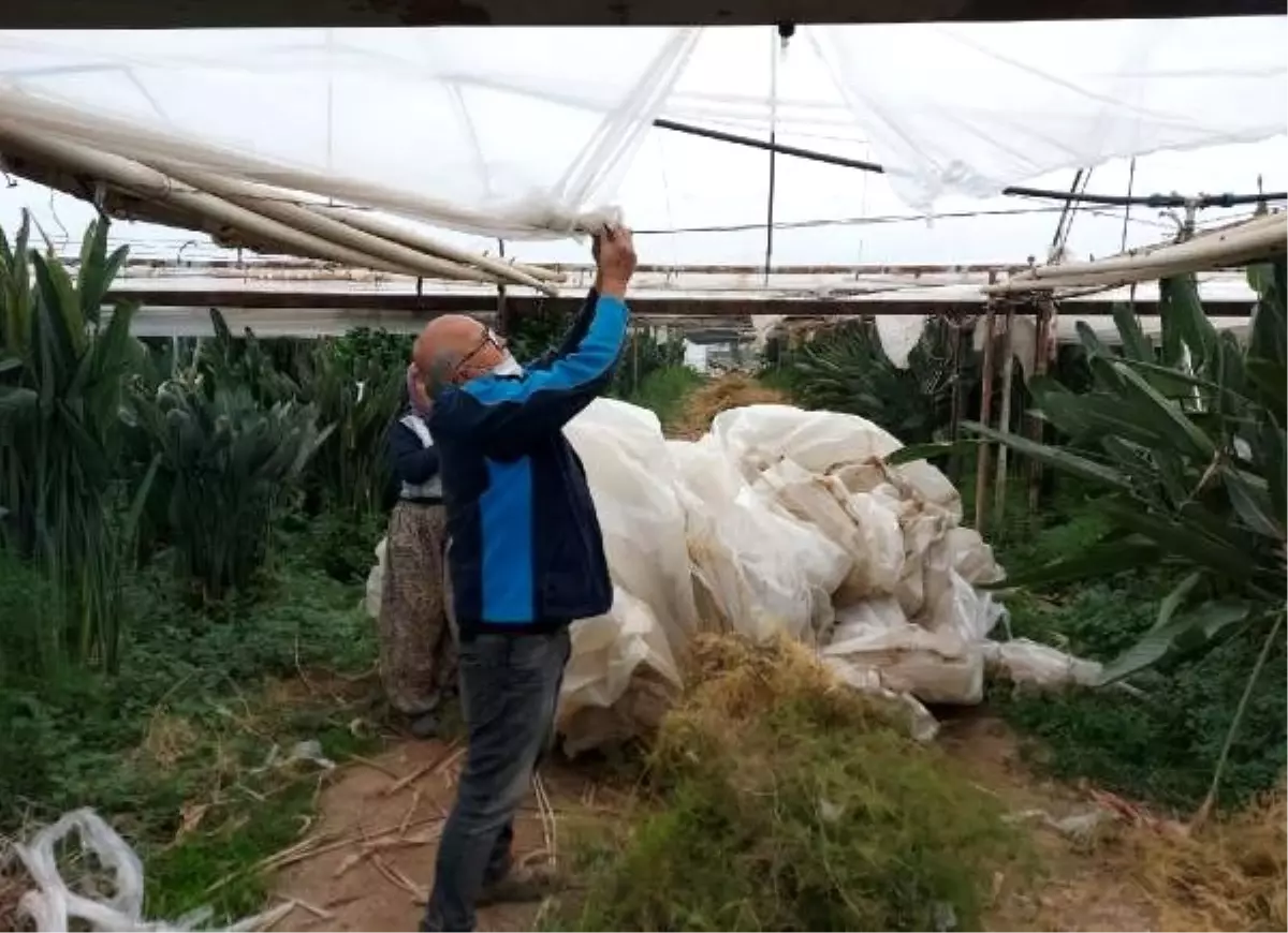 Yağış uyarıları, çiftçilerin hazırlıklarını hızlandırdı