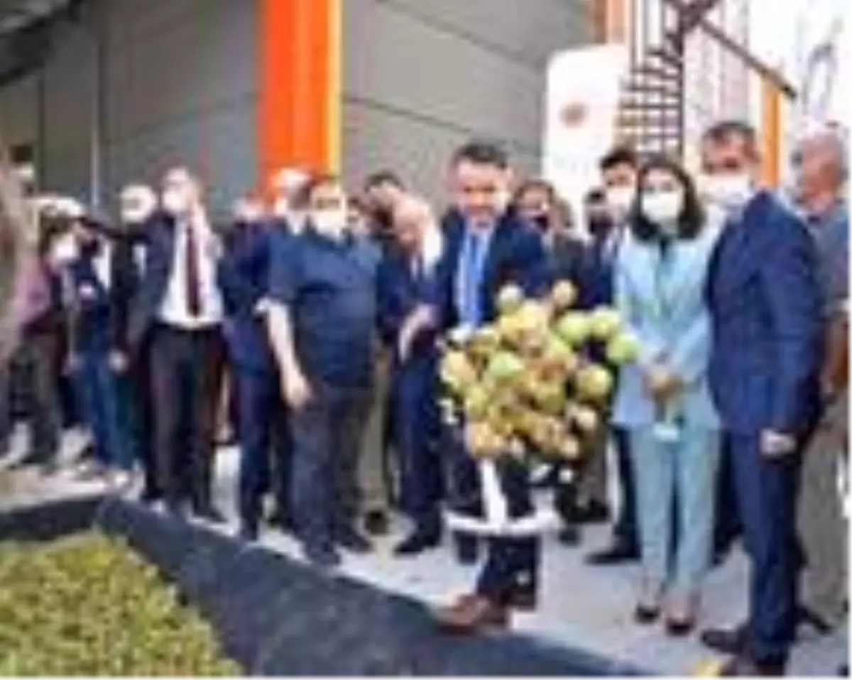 Son dakika haberleri! Bakan Pakdemirli: 29 bin ton üzüm aldık, 303 milyon lira ödeme yaptık