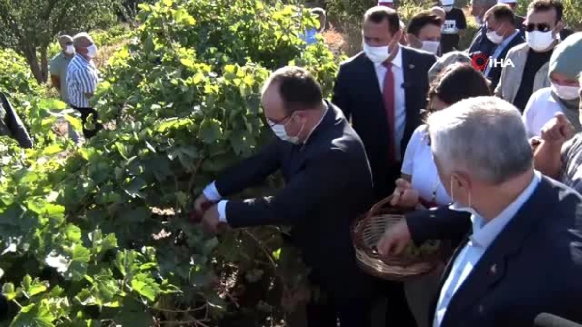 Elazığ\'da \'14. Bağ Bozumu ve Orcik\' festivali