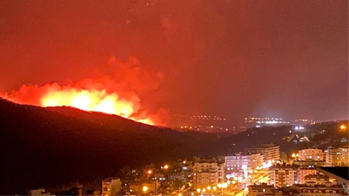 Hatay\'ın Belen ilçesinde çıkan orman yangını sürüyor