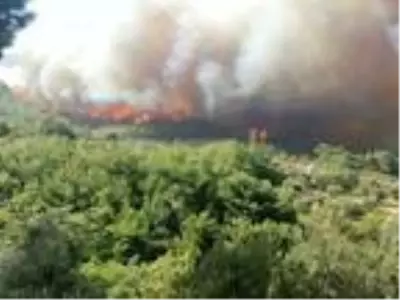 Hatay'da orman yangını; yerleşim yerlerine yaklaştı Hatay'da orman yangını; yerleşim yerlerine yaklaştı