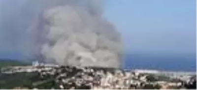 Hatay'da orman yangını; yerleşim yerlerine yaklaştı Hatay'da orman yangını; yerleşim yerlerine yaklaştı