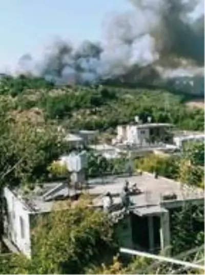 Hatay'da orman yangını; yerleşim yerlerine yaklaştı Hatay'da orman yangını; yerleşim yerlerine yaklaştı