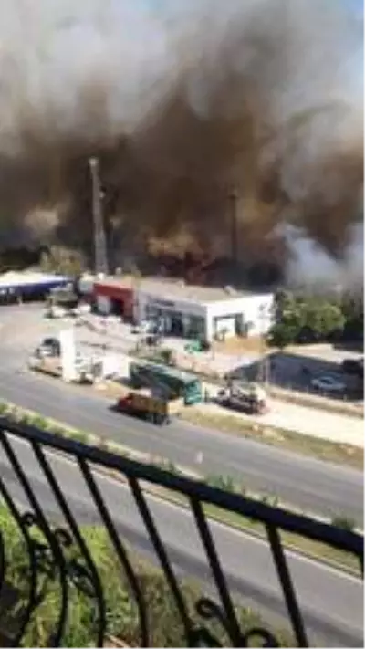 Hatay'da orman yangını; yerleşim yerlerine yaklaştı Hatay'da orman yangını; yerleşim yerlerine yaklaştı