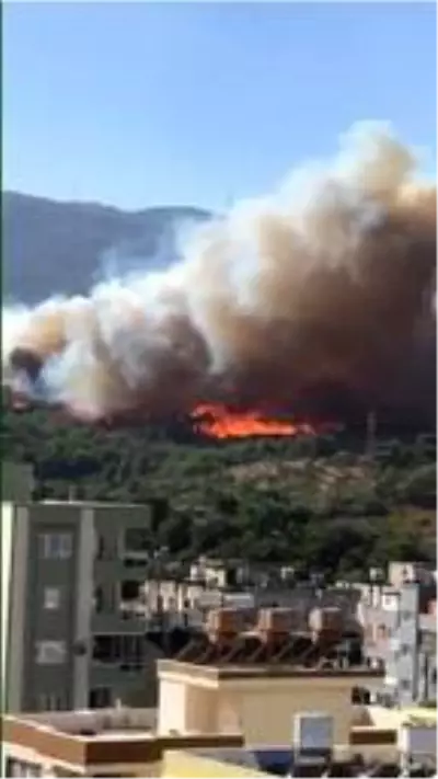 Hatay'da orman yangını; yerleşim yerlerine yaklaştı Hatay'da orman yangını; yerleşim yerlerine yaklaştı