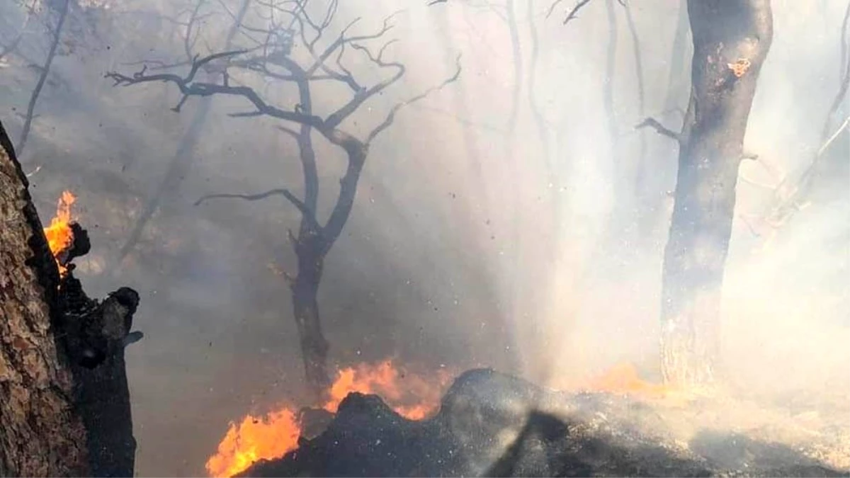 Hatay\'daki orman yangını rüzgar nedeniyle kontrol altına alınamıyor