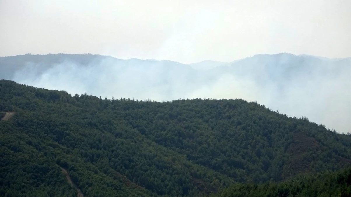 Hatay\'ın Suriye sınırında orman yangını