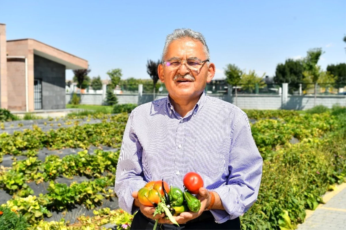 Hobi bahçelerinin kullanım hakkı 1 yıl uzatılacak