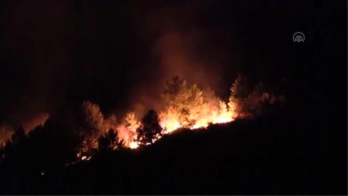 Kastamonu\'daki orman yangını kontrol altına alındı
