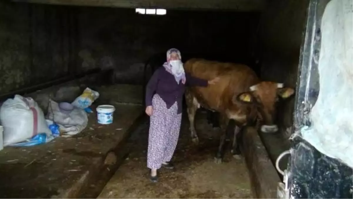 Son dakika haberi: Kızı kandırılarak dağa kaçırılan anne, umudunu koruyor