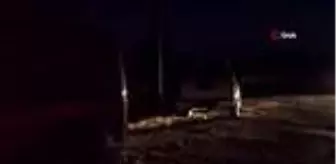 Kütahya'da kaybolan 4 çocuk aranıyor