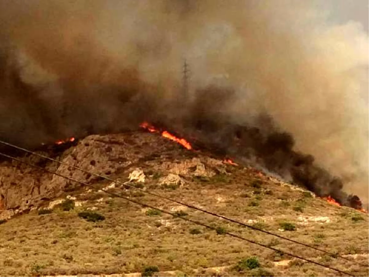 Bozyazı\'da orman yangınında 5 hektarlık alan zarar gördü