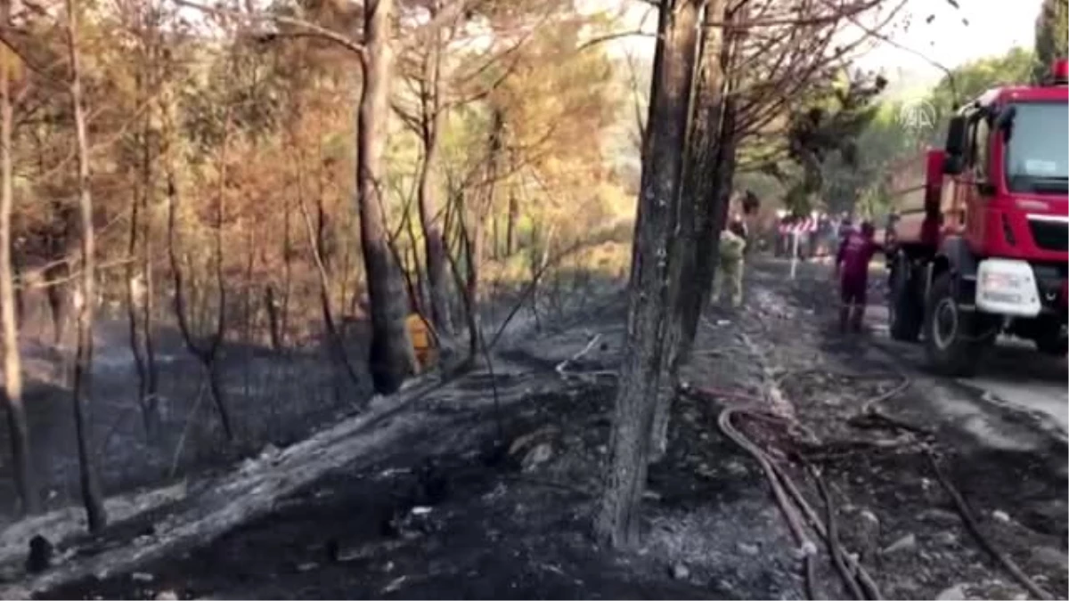 Son dakika haberi... Orman yangını kontrol altına alındı