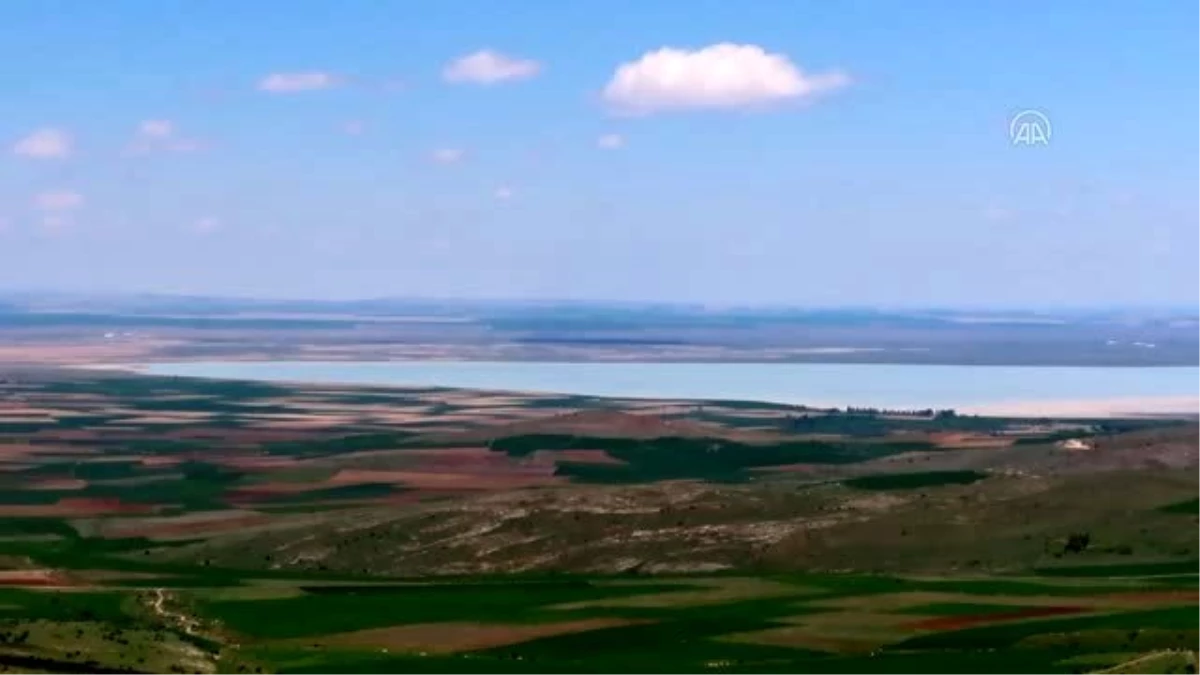 Seyfe Gölü Kuş Cenneti, kuraklığın etkisiyle sessizliğe büründü