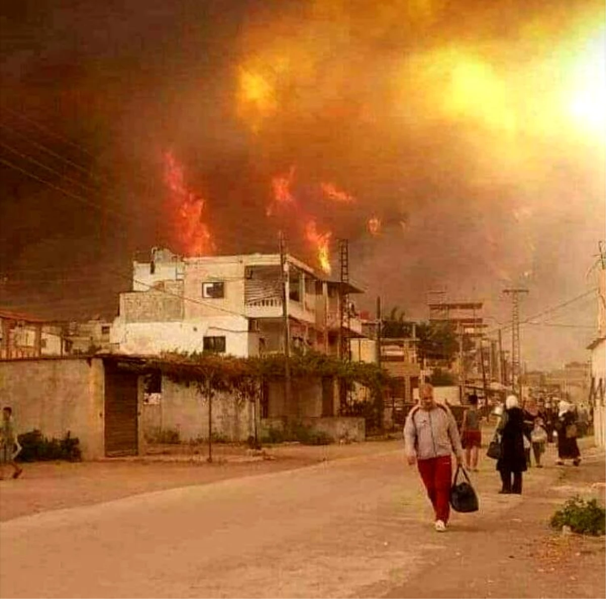 Suriye\'de orman yangını devam ediyor