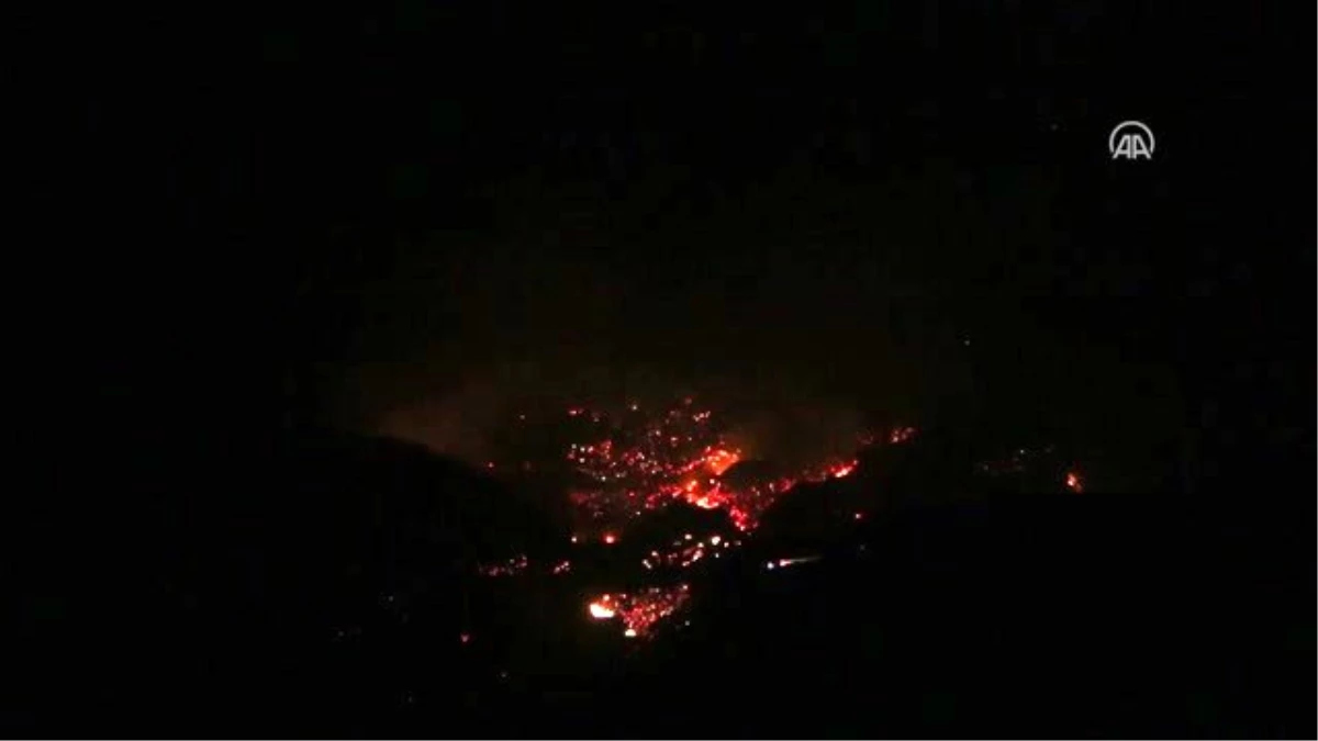 Son dakika haberi | Suriye\'nin Hatay sınırındaki orman yangını kontrol altına alındı