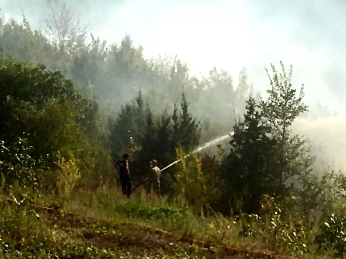 Son dakika... Trabzon\'da örtü yangını