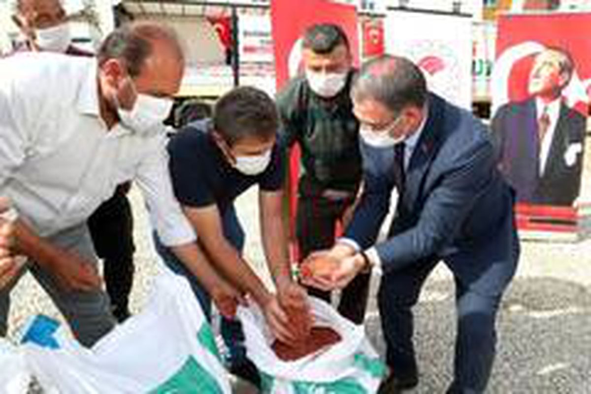 5 bin çiftçiye sertifikalı tohum dağıtıldı