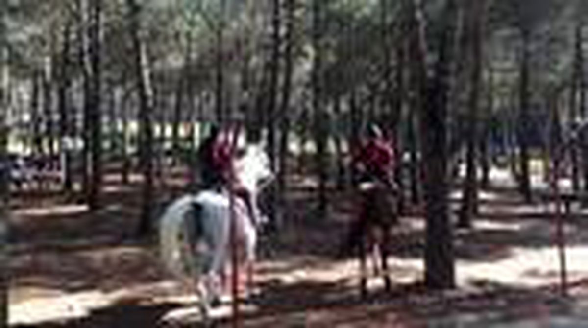 Son dakika haber | Atlı polisler, Aydos Ormanı\'nda denetim yaptı