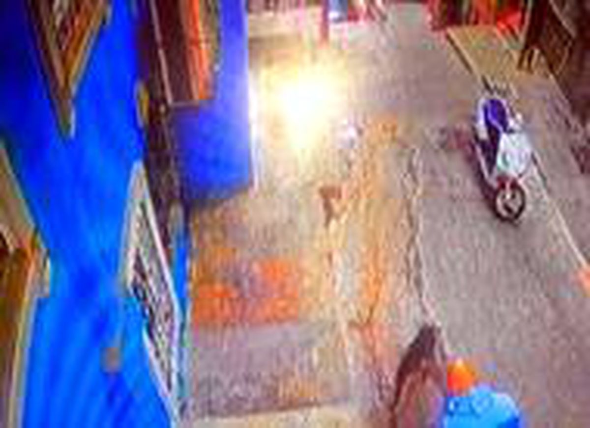 Son dakika haberleri: Çevre, Doğa ve Hayvanları Koruma Polisi, o görüntü üzerine harekete geçti