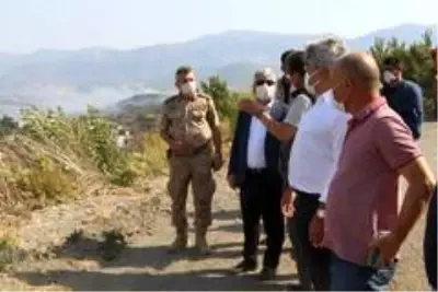 Son dakika haberleri: Hatay'daki orman yangınına müdahale sürüyor