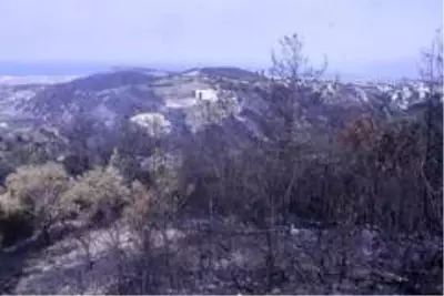 Son dakika haberleri: Hatay'daki orman yangınına müdahale sürüyor