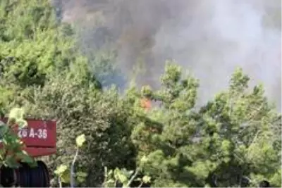 Son dakika haberleri: Hatay'daki orman yangınına müdahale sürüyor