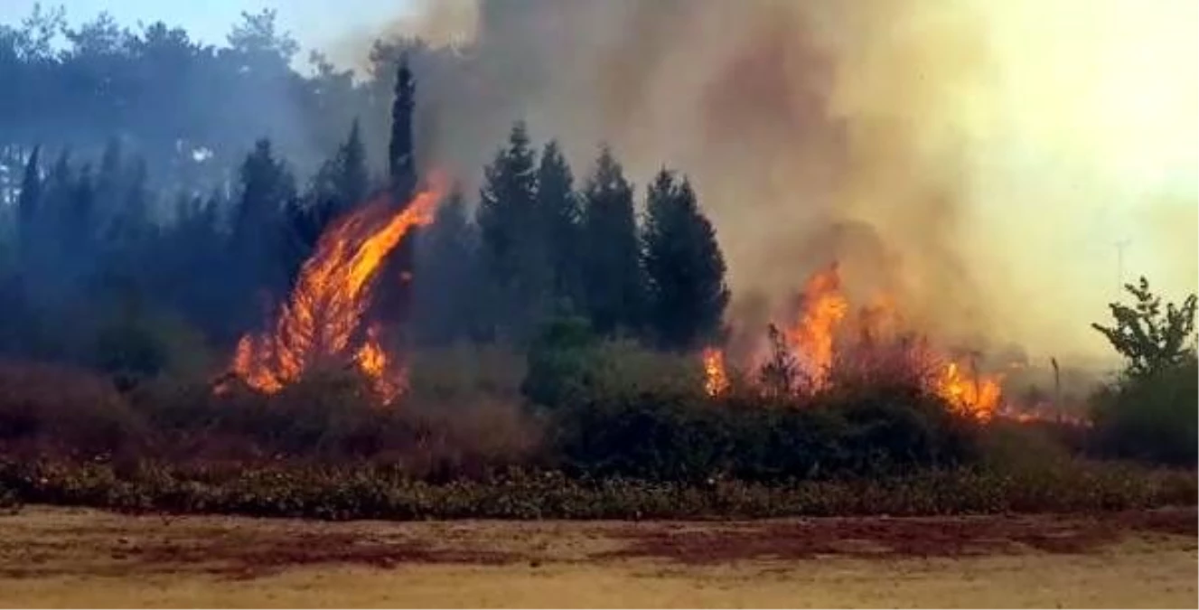 Kahramanmaraş\'ta 35 hektar ormanlık alan yandı (2)