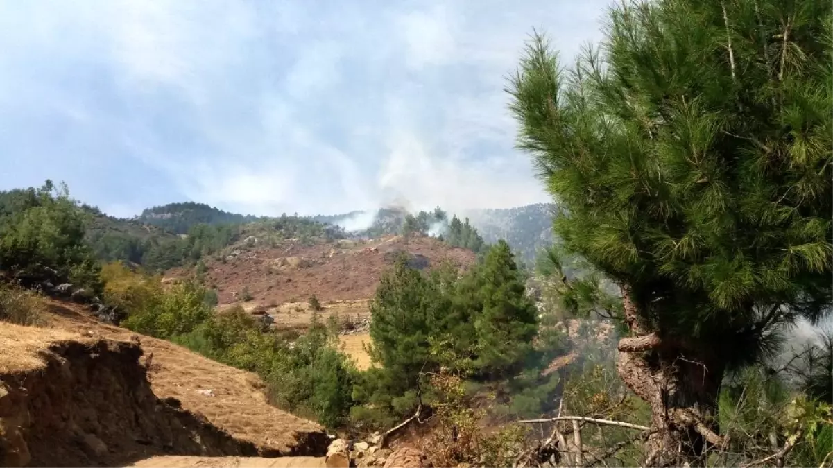 Kahramanmaraş\'ta dün çıkan orman yangını kontrol altına alındı